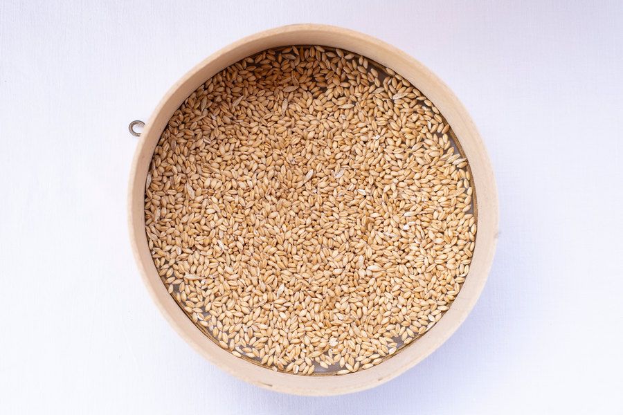 Grano Maiorca 1Kg